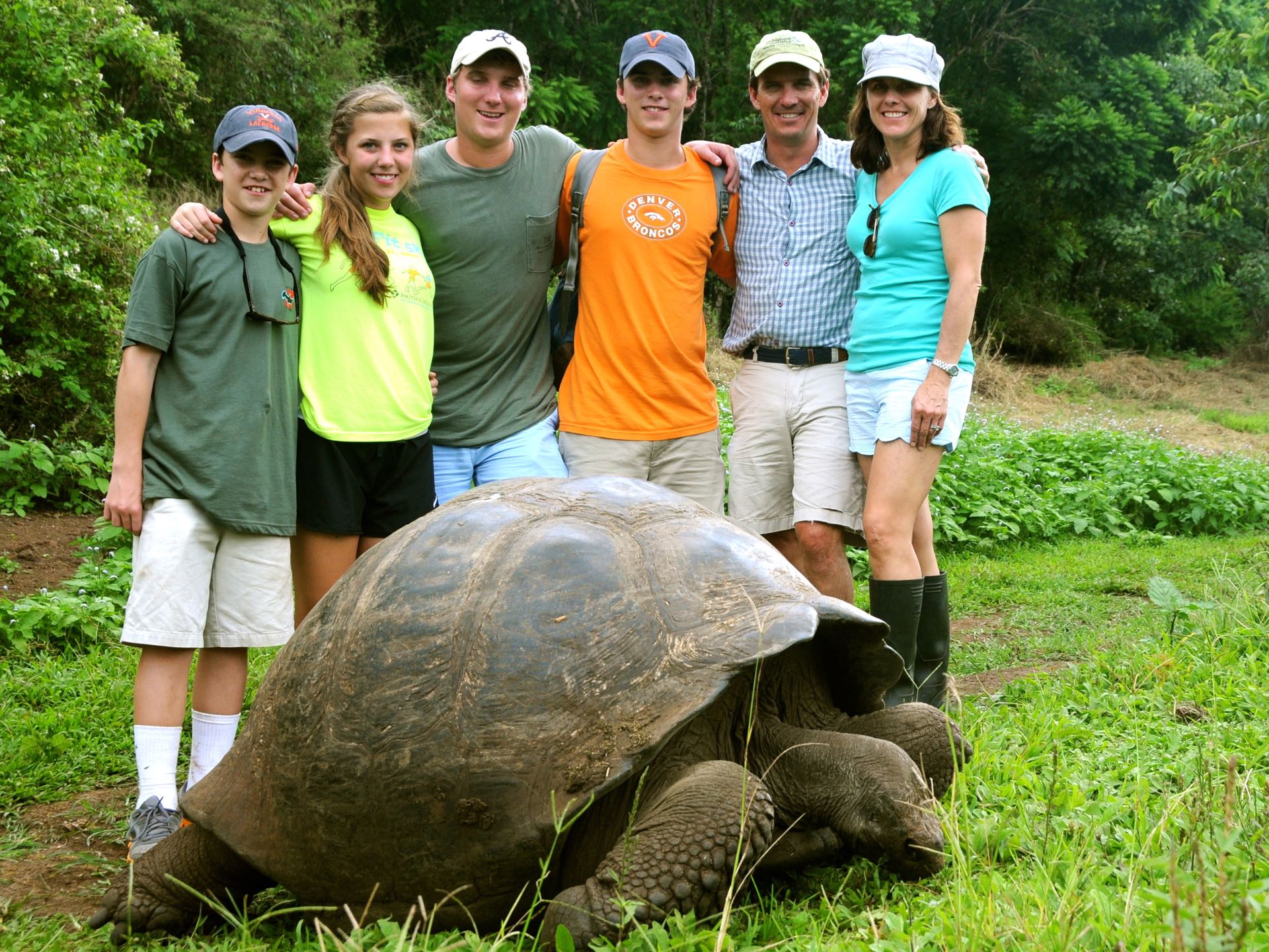 Landscape galapagos islands group tortoise