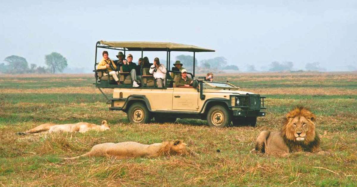 Txi wilderness safaris rover lions 2825 2 460