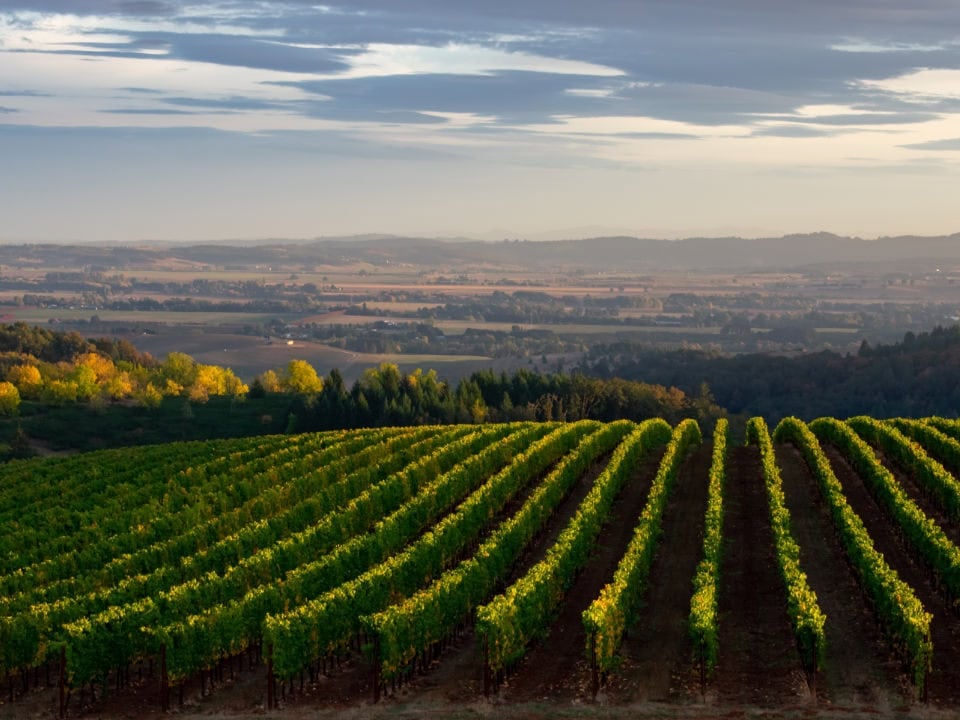 Txi Events Featured Img Oregon Wilamette Valley